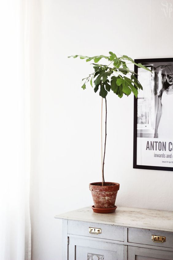 lemonbe-Cómo lograr ambientes en tu casa que te hagan sentir de vacaciones-03