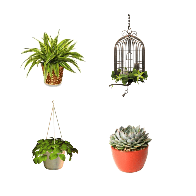 lemonbe-como renovar tu hogar en Primavera-02