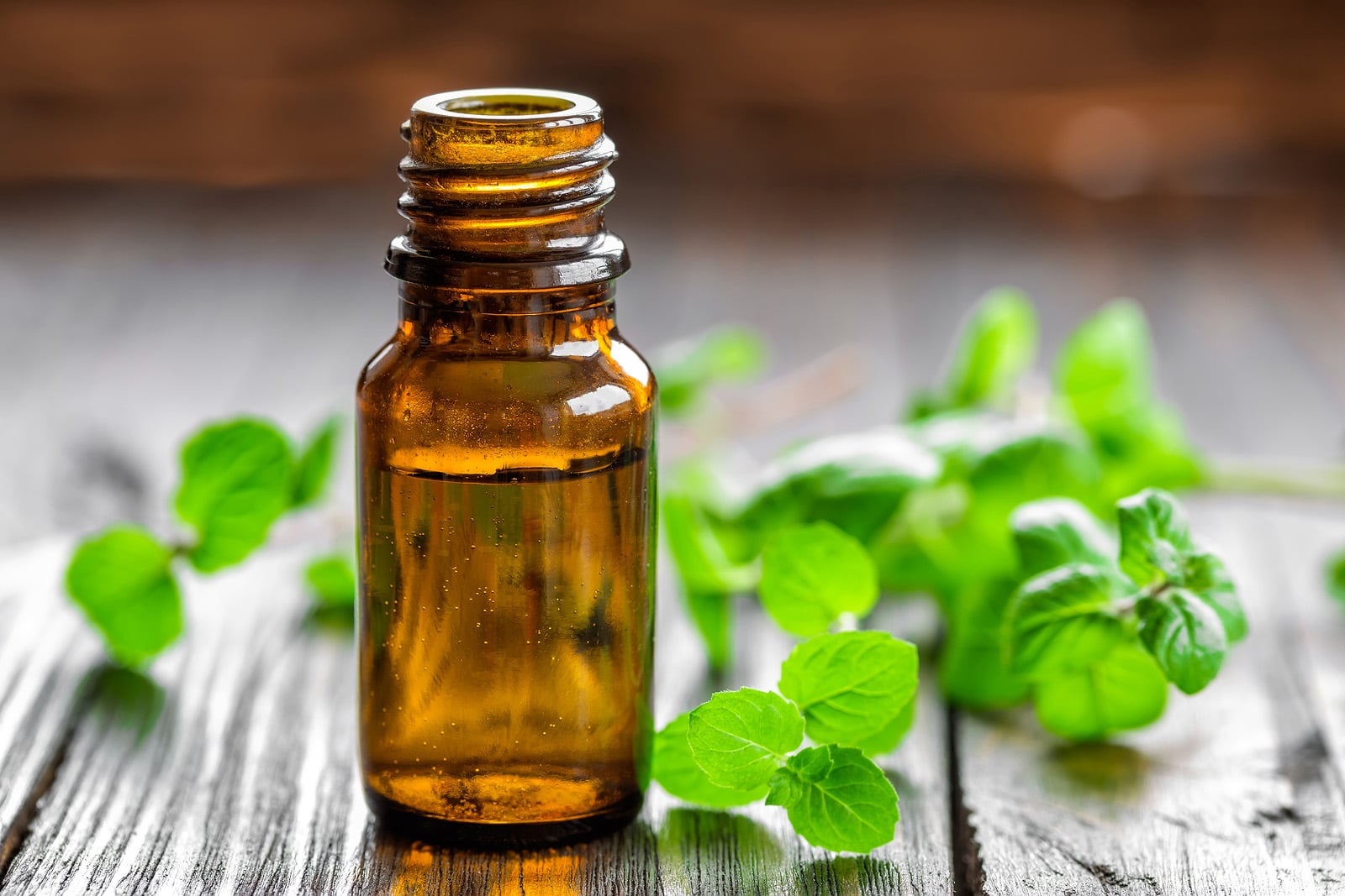 Mint oil in a bottle and fresh leaves