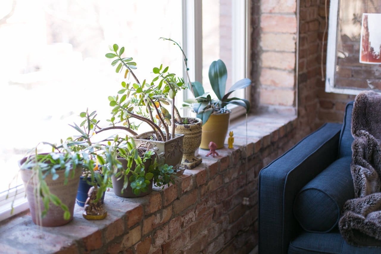 lemonbe-Vintage contemporáneo y hermoso así es este hogar en Chicago-04