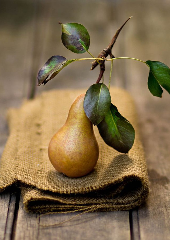 lemonbe-inspirate en las frutas de temporada para decorar tu hogar-08